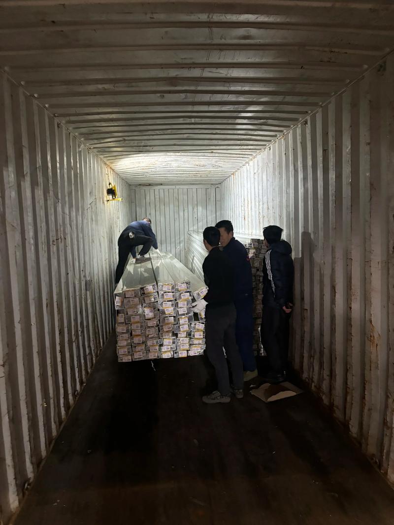 广西贸易发展的新活力——贸易公司在行动
